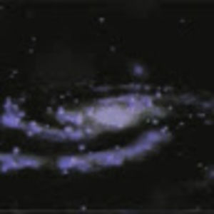 Meet your Posher, Swiffty